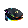 Wireless LED Rechargeable Mouse