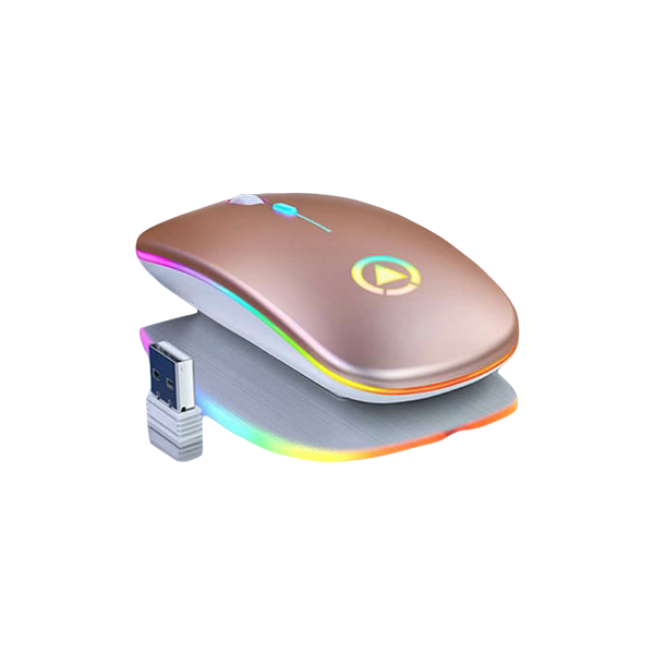 Wireless LED Rechargeable Mouse