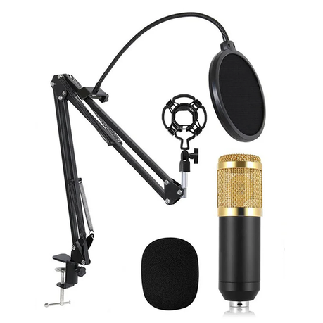 Mic Kit for Studio Recording and Podcast