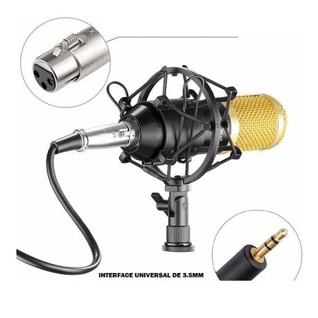 Studio Condenser  Microphone