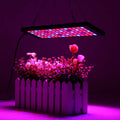 1000W LED Grow Light Full Spectrum Panel Lamp Indoor Flower Veg Plant Hydroponic Light