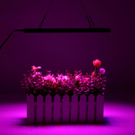 1000W LED Grow Light Full Spectrum Panel Lamp Indoor Flower Veg Plant Hydroponic Light