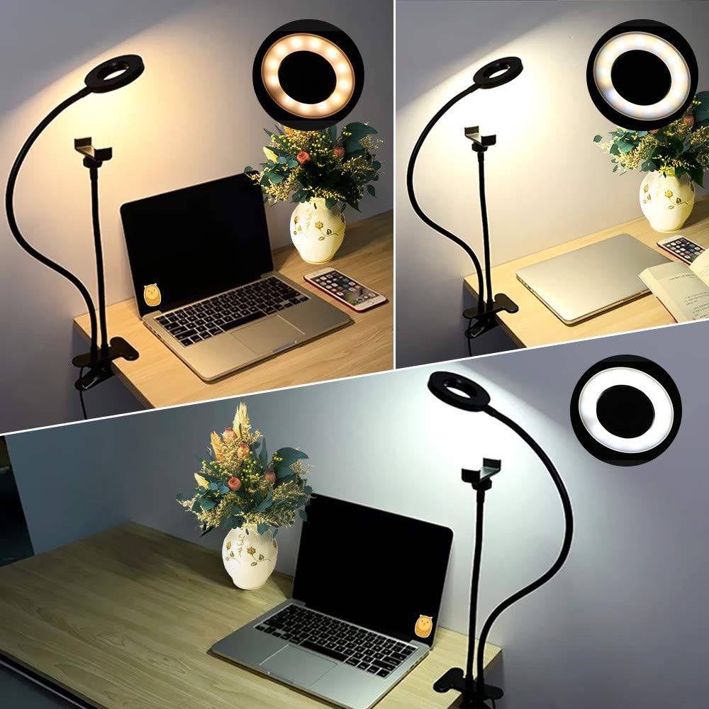 Live Stream Selfie Ring Light and Cellphone stand