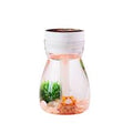 Aroma Therapy Humidifier
